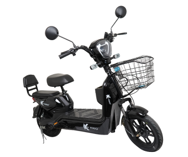 bici 1