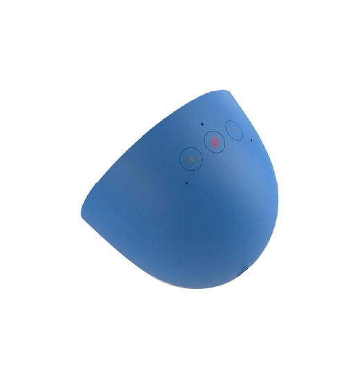 AMAZON ECHO SPOT (2)