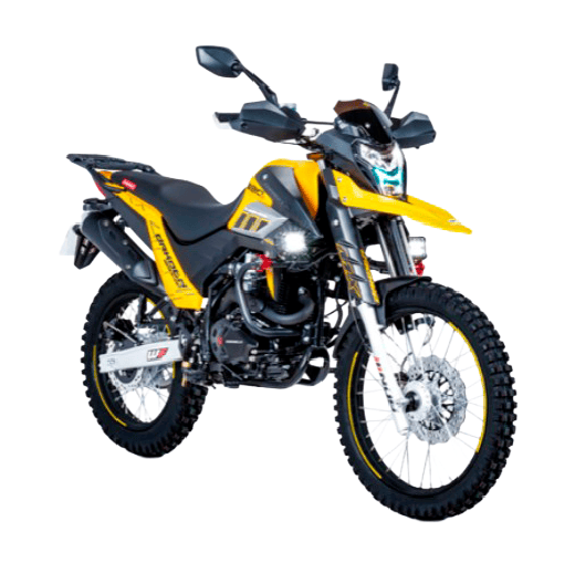 CARABELA DAKOTA AMARILLO-22