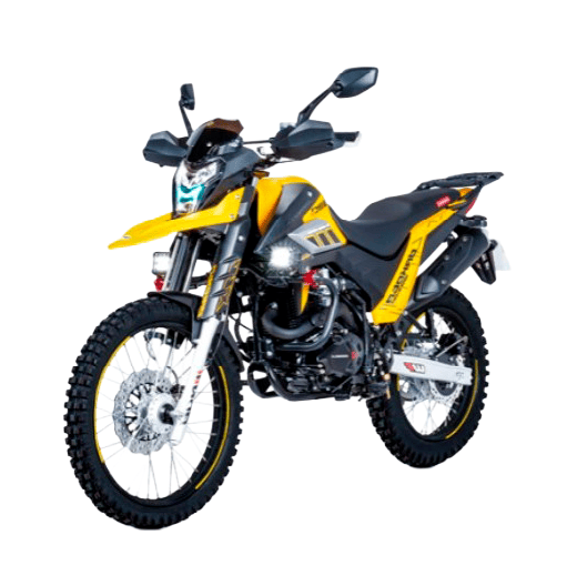 CARABELA DAKOTA AMARILLO-23