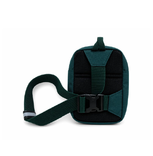 Bolso verde-33